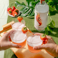 Seedlip non-alcoholic spirit