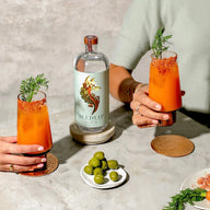 Seedlip non-alcoholic spirit