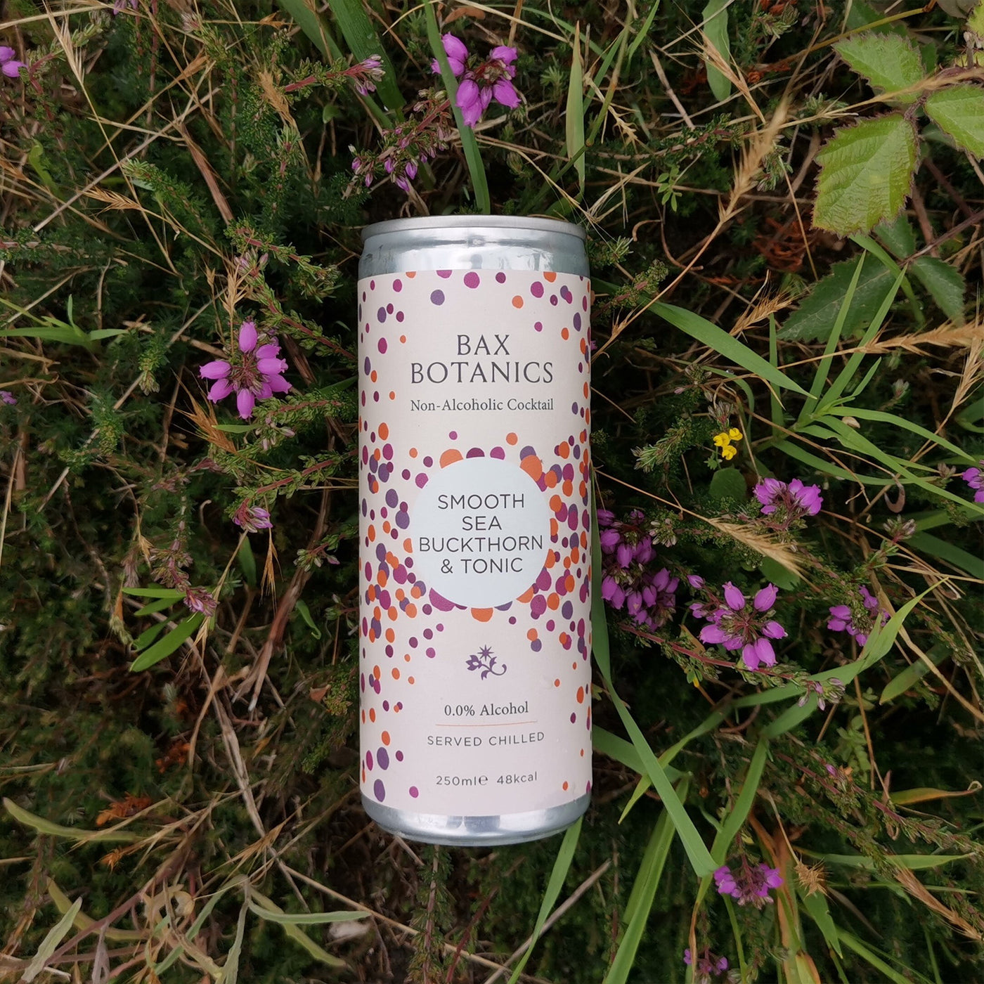 Bax Botanics Sea Buckthorn & Tonic 4-Pack - Non-Alcoholic Gin & Tonic